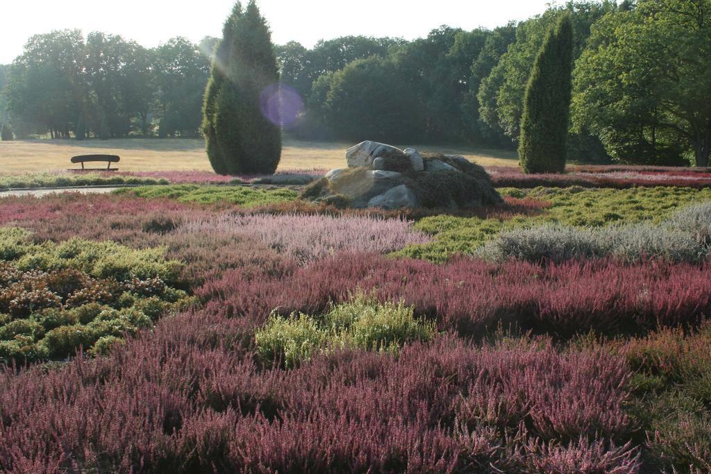 Ferienwohnung Lueneburger Heide شنيفردينغين المظهر الخارجي الصورة