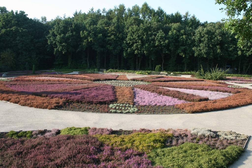Ferienwohnung Lueneburger Heide شنيفردينغين المظهر الخارجي الصورة
